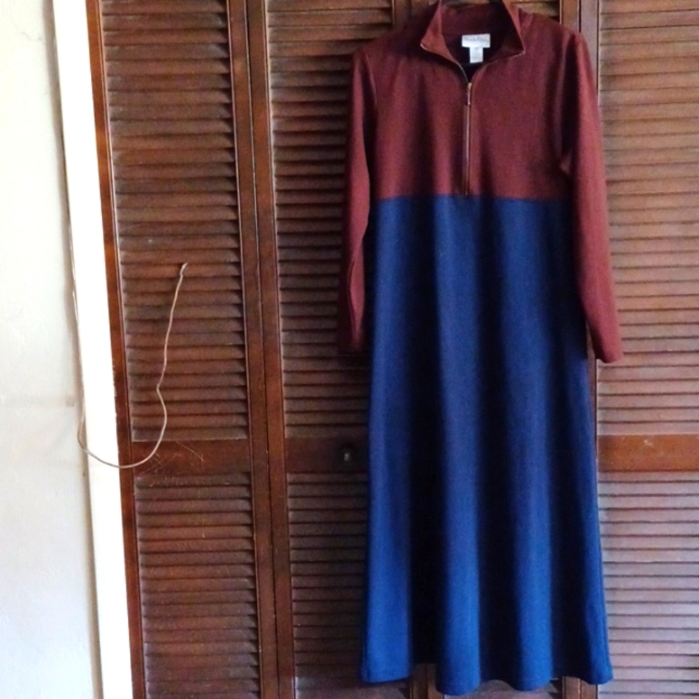 Diane von Furstenberg long sleeved dual colored dress, worn twice, size medium